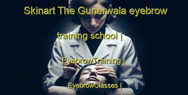 Skinart The Gunerwala eyebrow training school | EyebrowTraining | EyebrowClasses | SkinartTraining-Pakistan